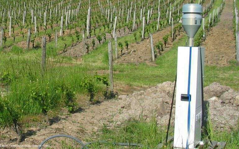 220931259_908525406393083_814417944671600469_n