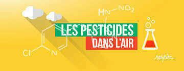 220439286_908525243059766_7042458566978528100_n