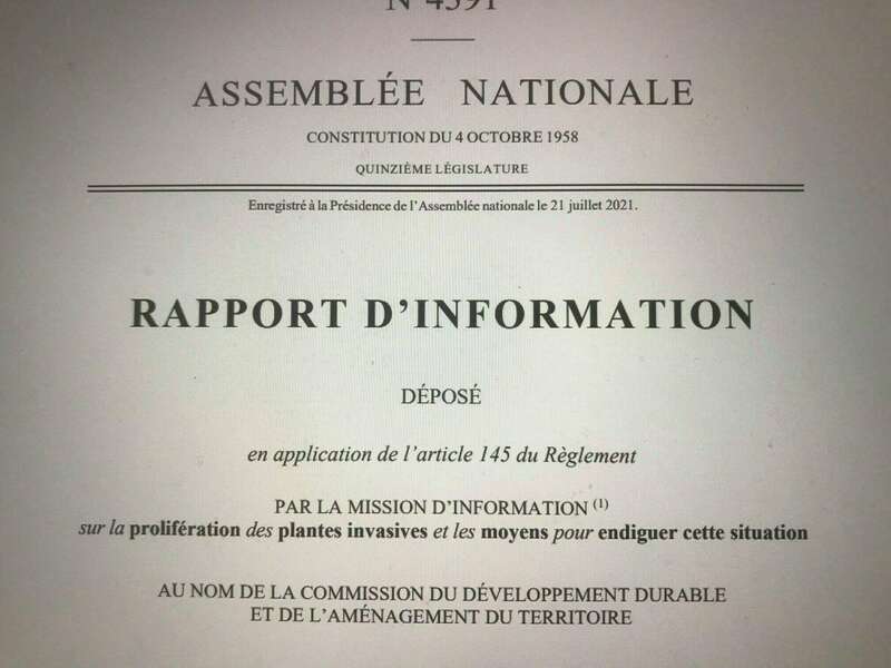 209605479_909719146273709_3811725422576625579_n