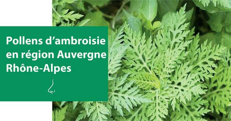 219012033_909719229607034_1268166283563912523_n