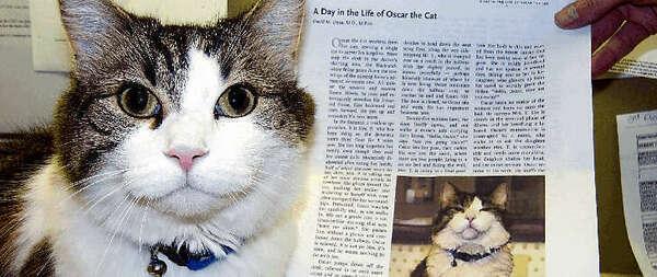 Oscar Le chat qui prédit la mort