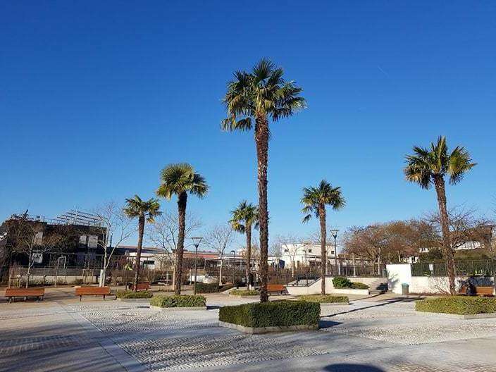 61993284_2199265410187680_2686421680514924544_n