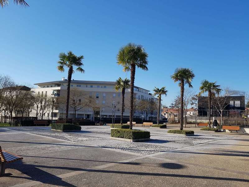 62070770_344481286263148_8383666927888760832_n