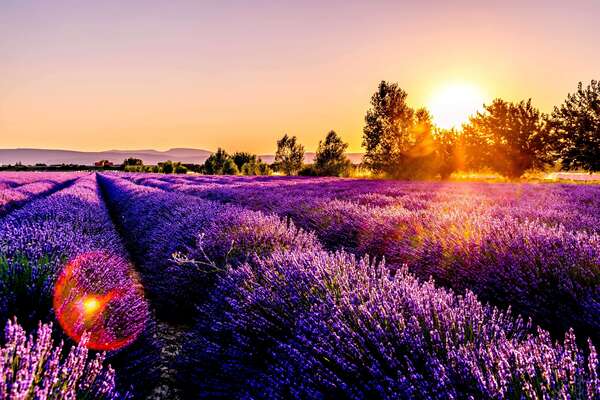 Assurance location courte durée en Provence : ce que chaque propriétaire doit savoir