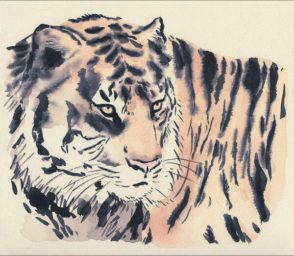 Voeux pour l'année du tigre