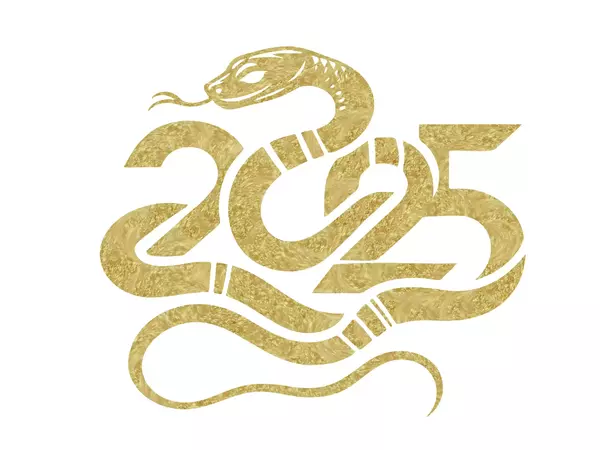Voeux pour l'année du Serpent