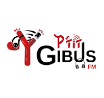 Les p'tits gibus