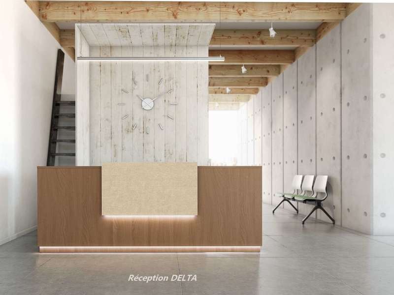 banque_d_accueil_delta_12