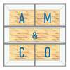 Logo AMETCO