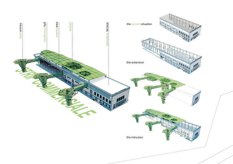pmn_2_10_canino-schema_01