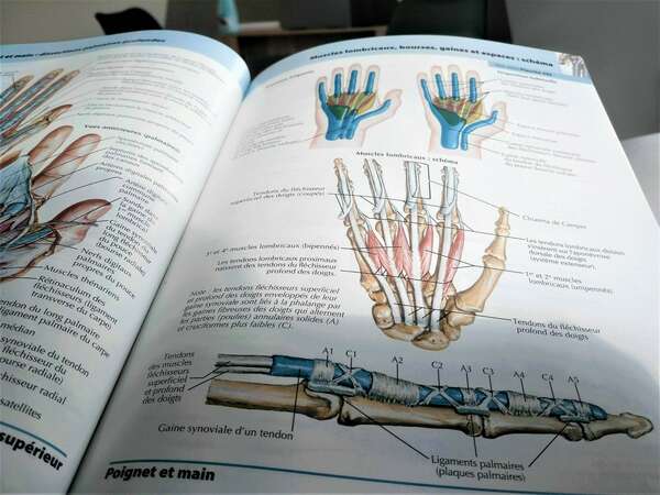 Les blessures en escalade.
