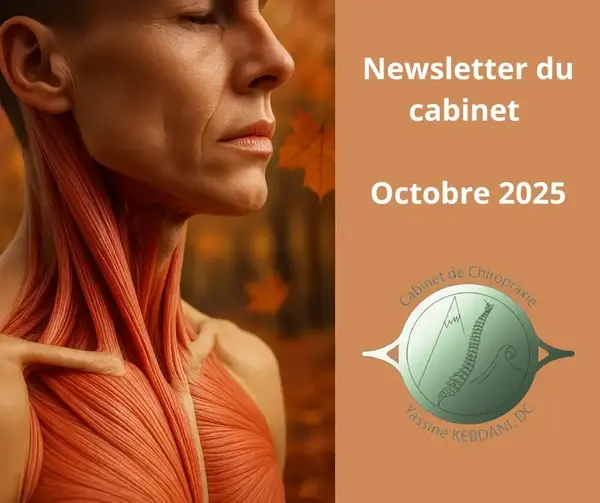 Newsletter du cabinet – Ocotbre 2025