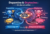 Schéma du rôle de la dopamine et de l’ocytocine dans le cerveau – lien social, motivation et système de récompense – chiropracteur à Billère Pau