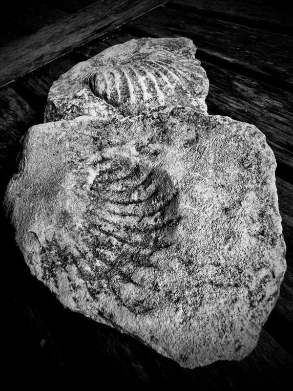 Résidence de la SPI - SERGEAC 2024