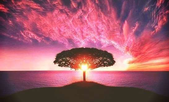 Le soin global multidimensionnel: Le chakra du coeur est le centre de la guérison. Le pont entre les champs d 'énergie de la terre des chakras inférieurs et celui des champs d 'énergie spirituelle des chakras supérieurs.