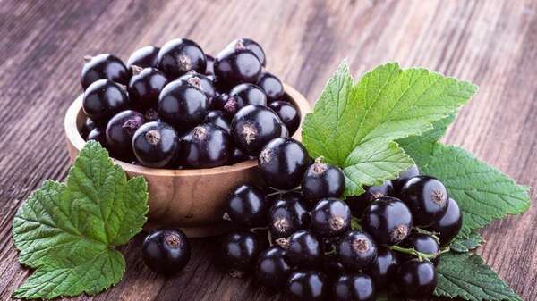 Printemps et allergies respiratoires