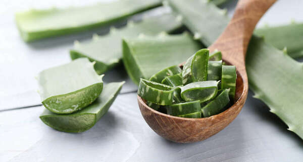 L'Aloe Vera : ton allié bien-être au naturel