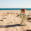 Les plantes pour lutter contre la fatigue