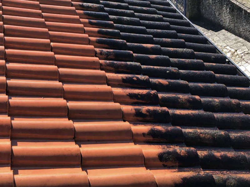 d1677279-c3c8-48e0-ac43-0664e8ec82f120200304-3954981-1awzt1r