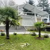 tente transparente evenement