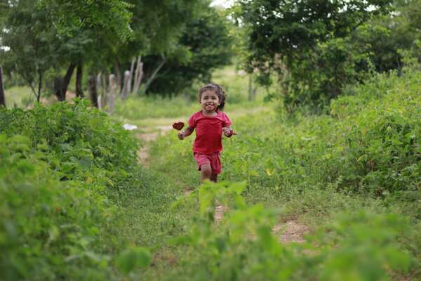 Gestion des emotions de l'enfant