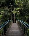 sophrologie chemin bien-être nature méditation