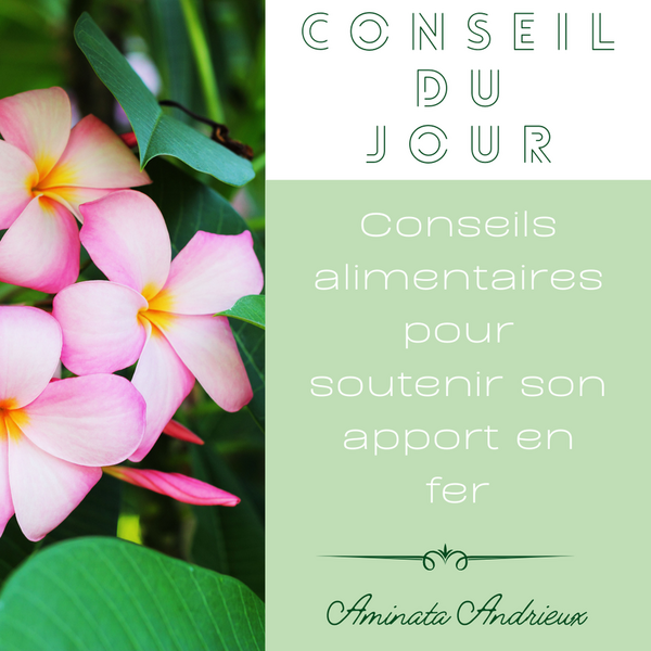 Conseils Alimentaires Pour Soutenir Son Apport En Fer Blog