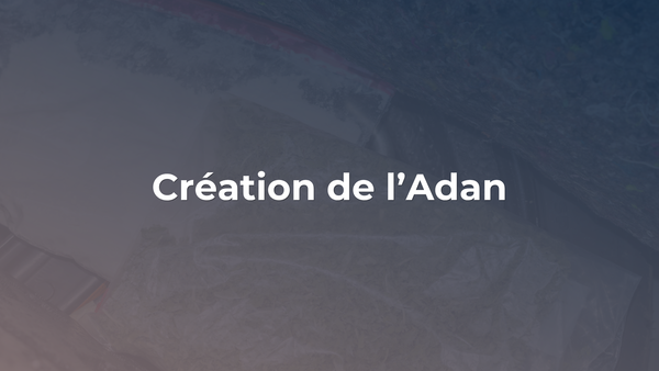 Establishment of the Association for the Development of Digital Assets