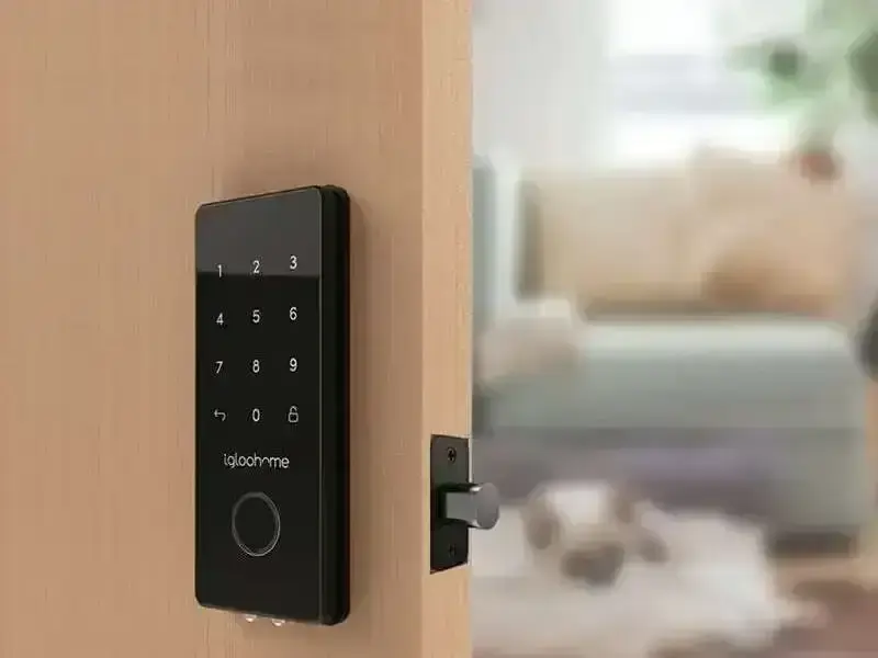 check in - conciergerie toulouse