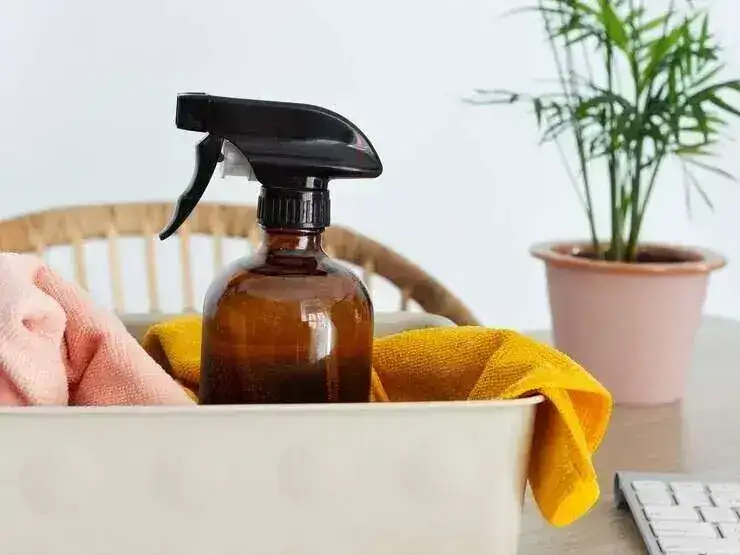 ménage - conciergerie toulouse