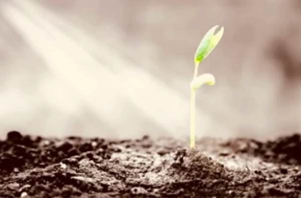 Qu'est-ce qu'un Psychopraticien Relationnel ® ?