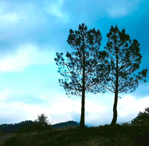 Quelles sont les différentes sortes de psychothérapies ?