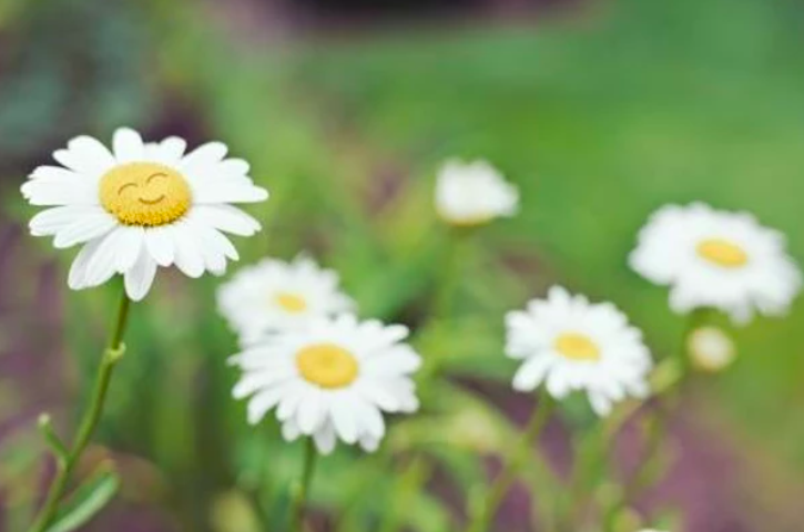 Et si on partait en retraite spirituelle ?