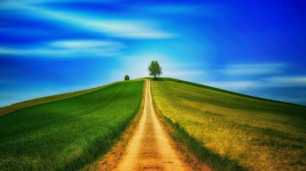 Vous avez décidé de consulter un psy ? Mais quel psy ?