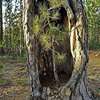 Psychothérapie à Saint-Pierre - accompagnement en développement personnel