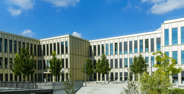 Why work with a Junior Entreprise?