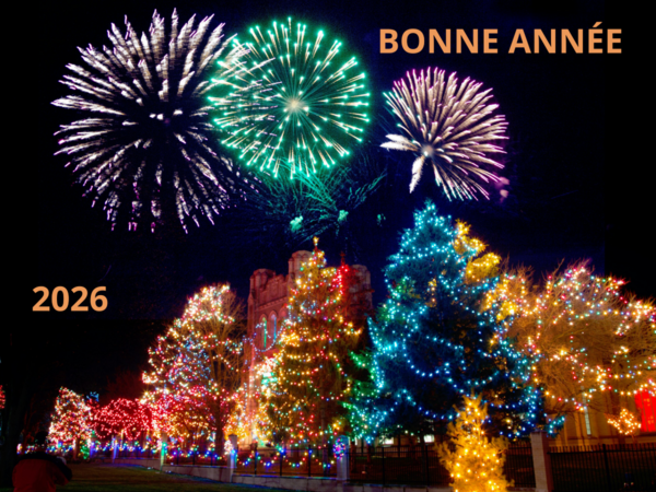  Mais au fait, pourquoi se souhaite-t'on la bonne année ?