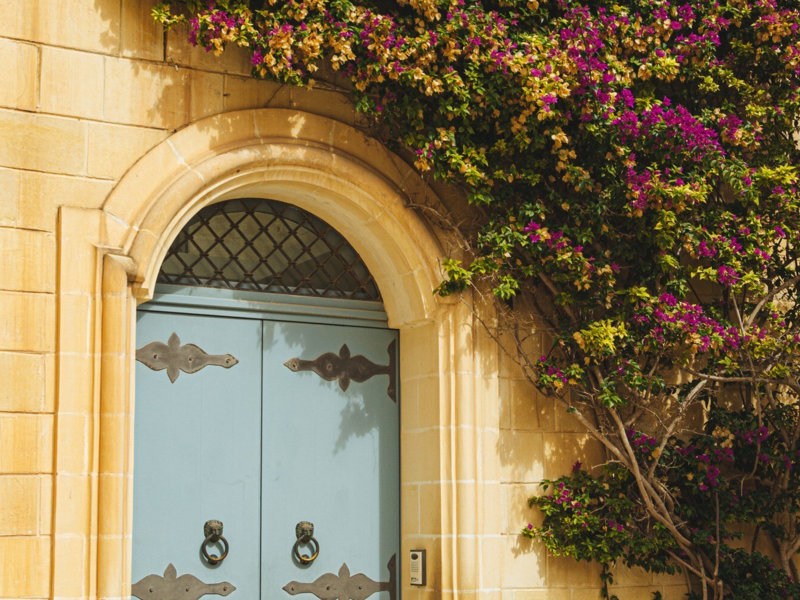Porte d'entrée Bois cintrée sur mesure 