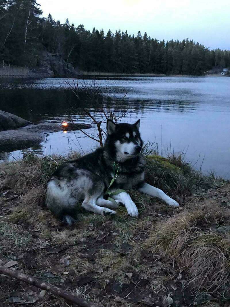 whatsapp_image_2020-05-22_at_23-40-09__14_20221018-3460406-5ga40v