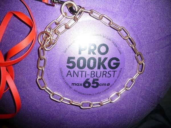 Le harnais pour chiens mode ou revolution ?