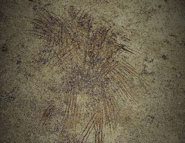 Anthropomorphisme, accrochez votre ceinture !