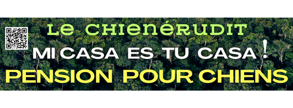 MA PENSION POUR CHIENS