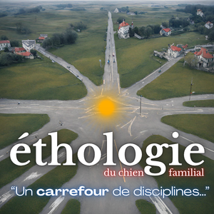 L’éthologie du chien familial : Un carrefour de disciplines