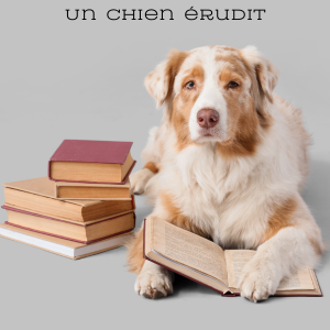 L’apprentissage sans erreurs en éducation canine 