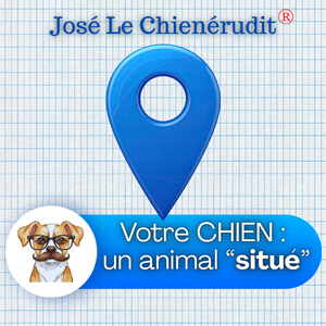 Le chien de compagnie :   un « animal situé »