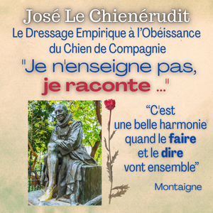 Dressage empirique du chien de compagnie : récit et harmonie de l'apprentissage