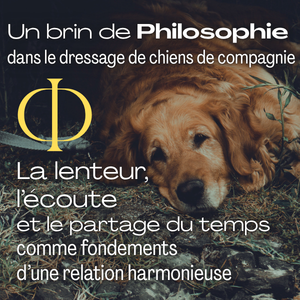 Dressage empirique du chien de compagnie : récit et harmonie de l'apprentissage