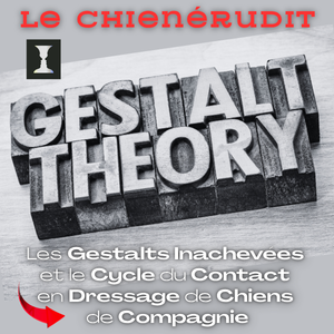 Les Gestalts Inachevées et le Cycle du Contact en Dressage de Chiens Comprendre la théorie gestaltiste appliquée à l'éducation canine