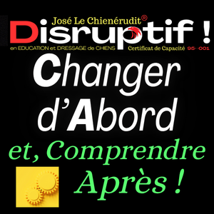 Mon Approche Originale en Dressage de Chiens de Compagnie Inverser la logique traditionnelle pour mieux comprendre le chien