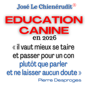 Se taire ou paraître : Ironie du métier d’éducateur canin sur les réseaux sociaux Réflexions humoristiques pour égayer le microcosme du chien de compagnie